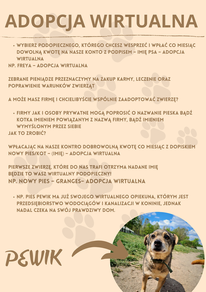 2024.06.25_adopcja warunki.png